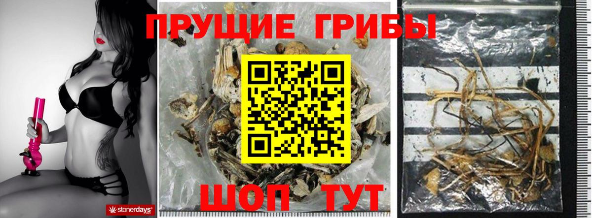 Галлюциногенные грибы прущие грибы Белебей